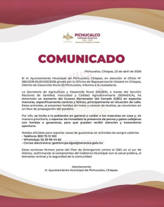 Te invitamos a reportar de inmediato si ves a un perro o gato callejero con heridas o gusaneras. La SADER y el Gobierno Municipal de Pichucalco trabajan juntos en el Plan de Emergencia contra el Gusano Barrenador.