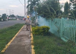 Chiapas registra 76 % de reducción en casos de dengue