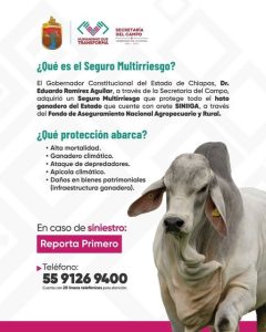 El Gobierno de Chiapas protege el patrimonio de las familias ganaderas