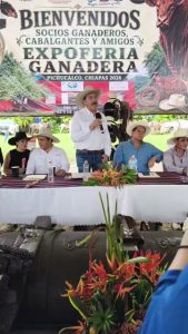 Expo feria Pichucalco 2026