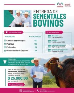 ¡Atención, ganaderas y ganaderos de Chiapas!