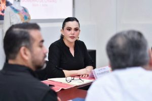 Ana Laura Romero Basurto sostiene reunión de trabajo con personal de la SAyBG para dar seguimiento a las acciones institucionales