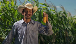 ATENCIÓN A PRODUCTORAS Y PRODUCTORES