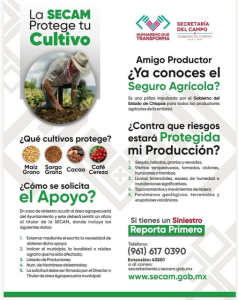Protege tu cultivo con el Seguro Agrícola de la SECAM.