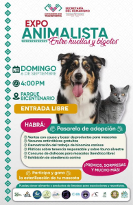 Paco Chacón invita a las familias de Tuxtla a la Expo Animalista “Entre Huellas y Bigotes”