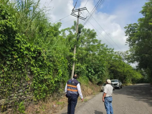 Coordinación con la Comisión Federal de Electricidad para fortalecer la seguridad y los servicios en Ixtapangajoya.